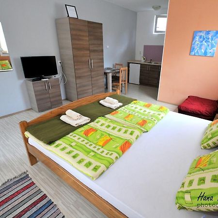 Apartments Svetlica Backi Petrovac Exteriér fotografie