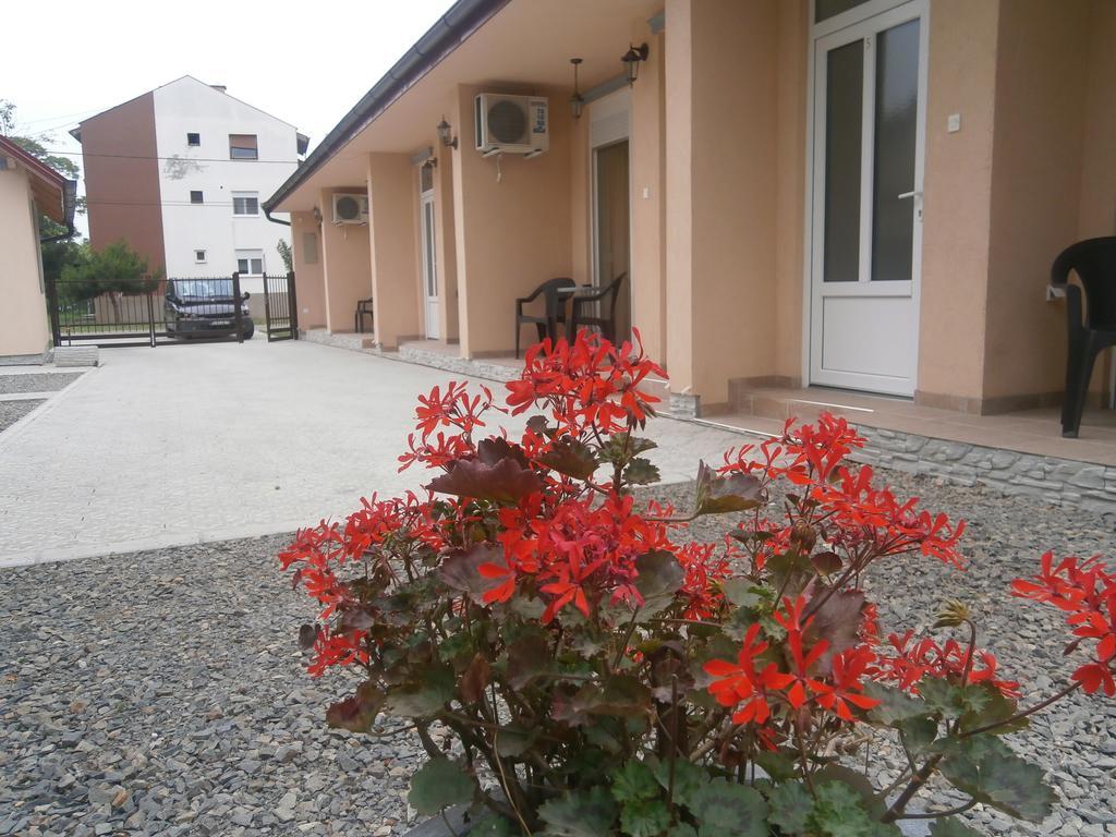 Apartments Svetlica Backi Petrovac Exteriér fotografie